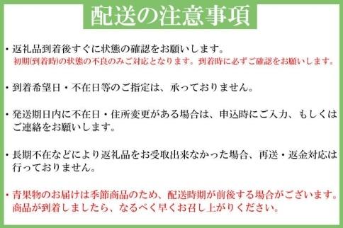 【魚鶴商店厳選！】人気の海幸山幸食べ比べ【定期便全12回】セットB【UT110】