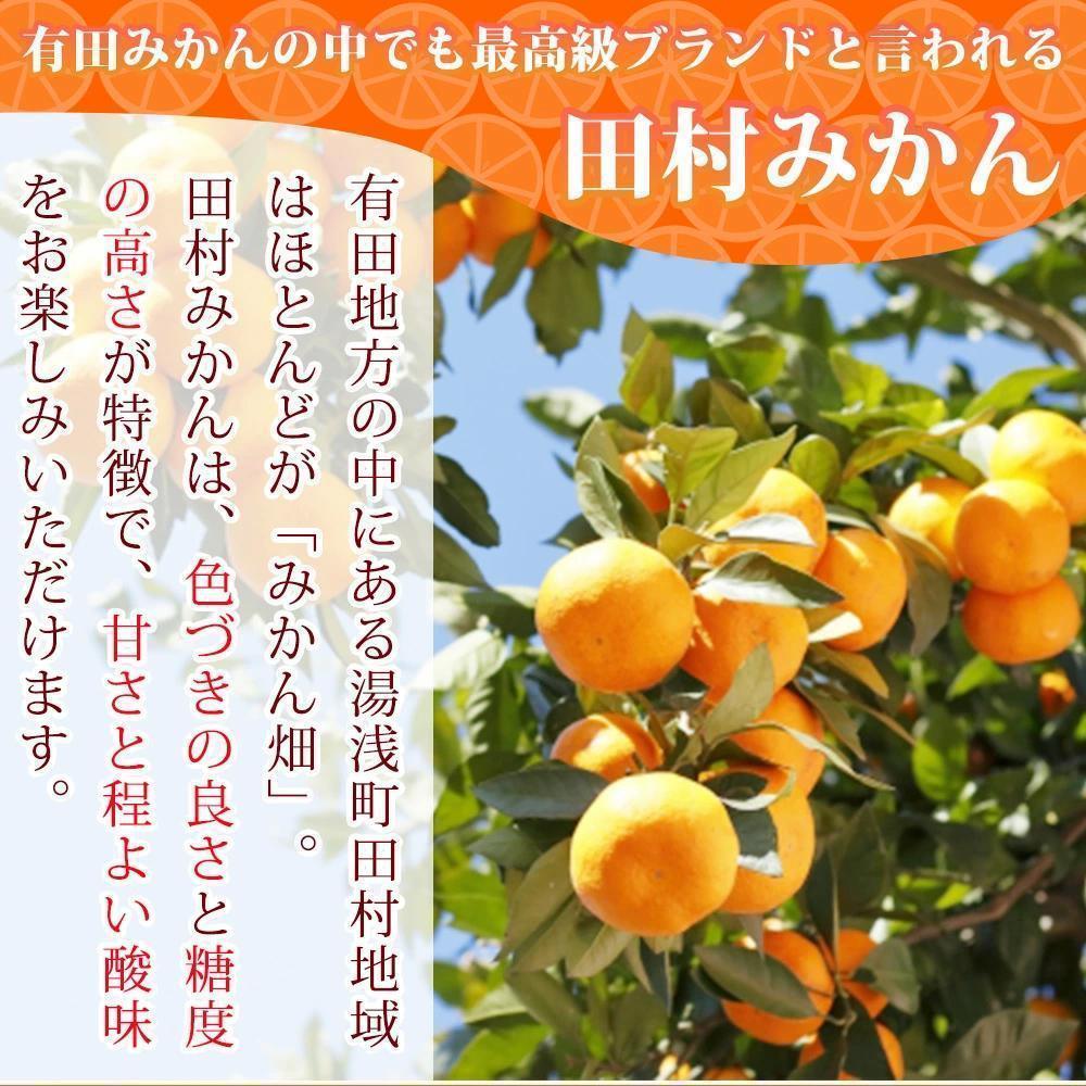 果汁１００％田村そだちみかんジュース　970ml×3本