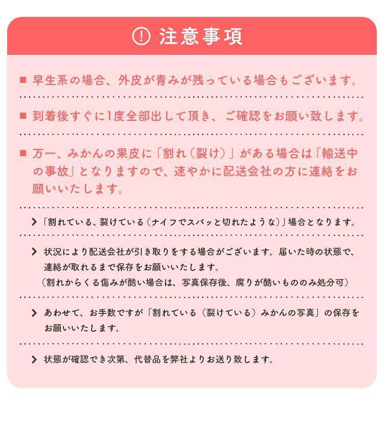 【先行予約】有田育ちのご家庭用 完熟有田みかん6kg【2024年11月上旬より発送】【訳あり】