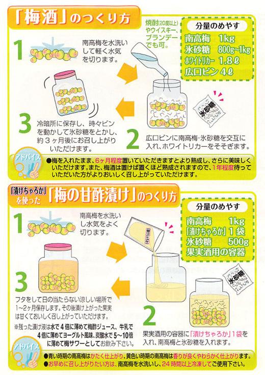 【梅干・梅酒用】（2LまたはL－10Kg）熟南高梅＜2025年6月上旬～7月7日発送予定＞フルーツ 果物 くだもの 食品 人気 おすすめ 送料無料【ART03】