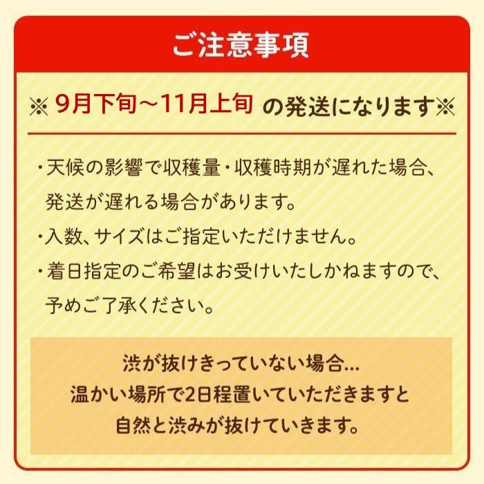 ◆先行予約◆和歌山県産 平核無柿＜贈答用／秀品＞8～13玉【2025年9月下旬以降発送】【MG4】柿 種無し たねなし ひらたね 先行予約