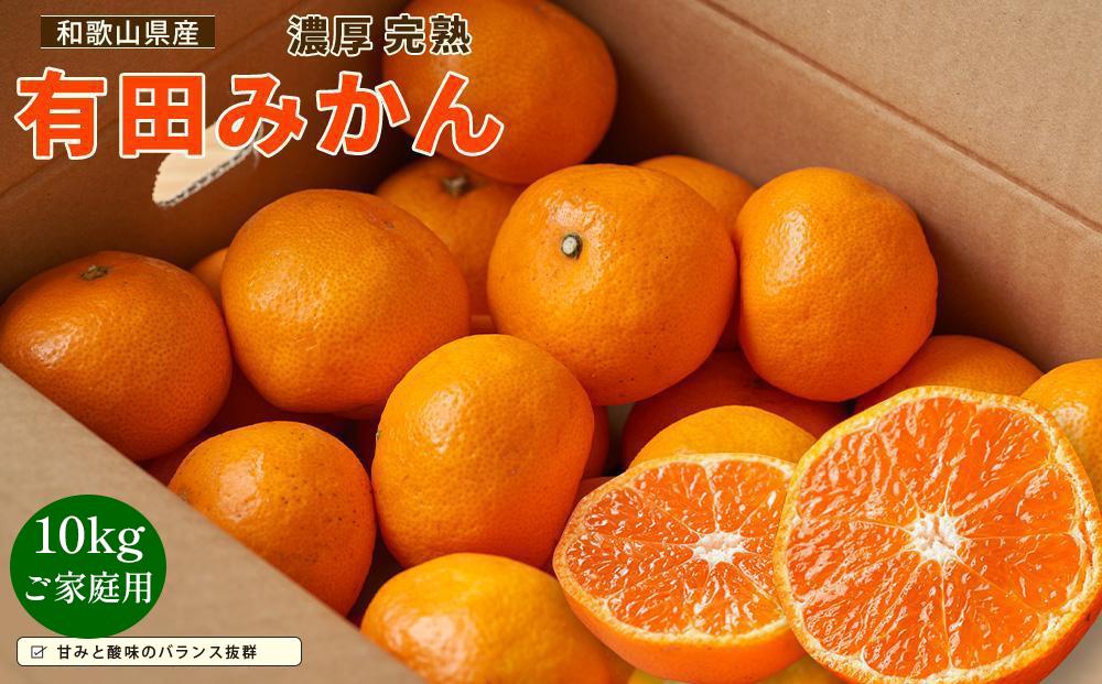 【先行予約】有田育ちのご家庭用 完熟有田みかん10kg【2024年11月上旬より発送】【訳あり】