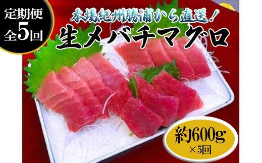 【定期便全5回】生まぐろの本場紀州勝浦から直送！　生メバチマグロ 約600g（1カ月に1回お届け）（全5ヵ月）