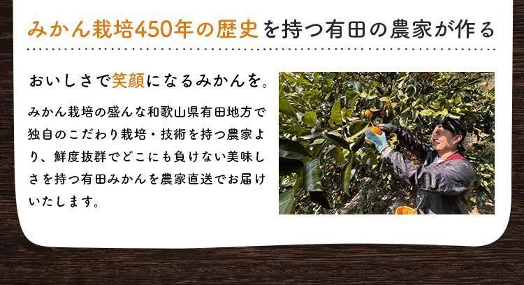 【先行予約】有田育ちのご家庭用 完熟有田みかん6kg【2024年11月上旬より発送】【訳あり】