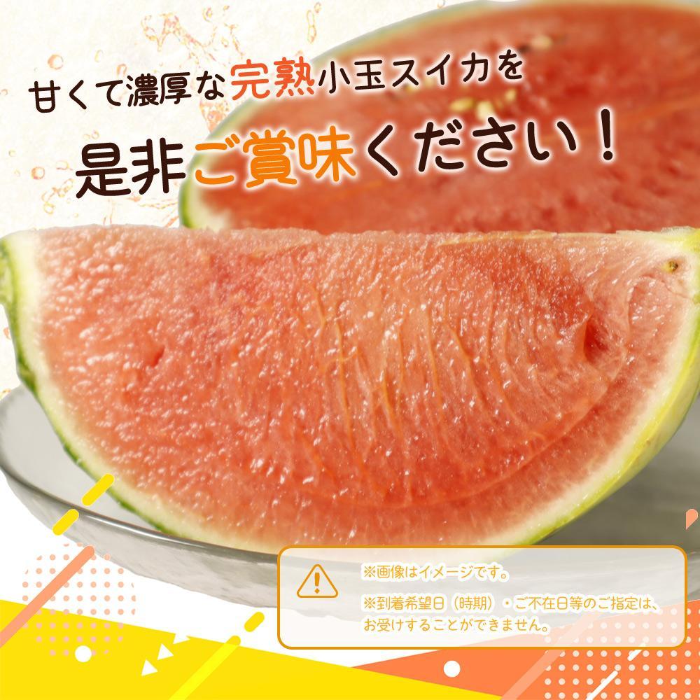 紀州和歌山産 小玉スイカ「ひとりじめ」 1玉【2025年6月上旬頃～2025年6月下旬頃に順次発送】【UT85】