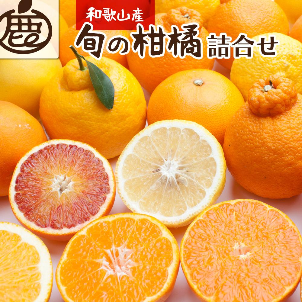 ＜1月より発送＞厳選 柑橘詰合せ3kg+90g（傷み補償分）【有田の春みかん詰め合わせ・フルーツ詰め合せ・オレンジつめあわせ】【光センサー選別】