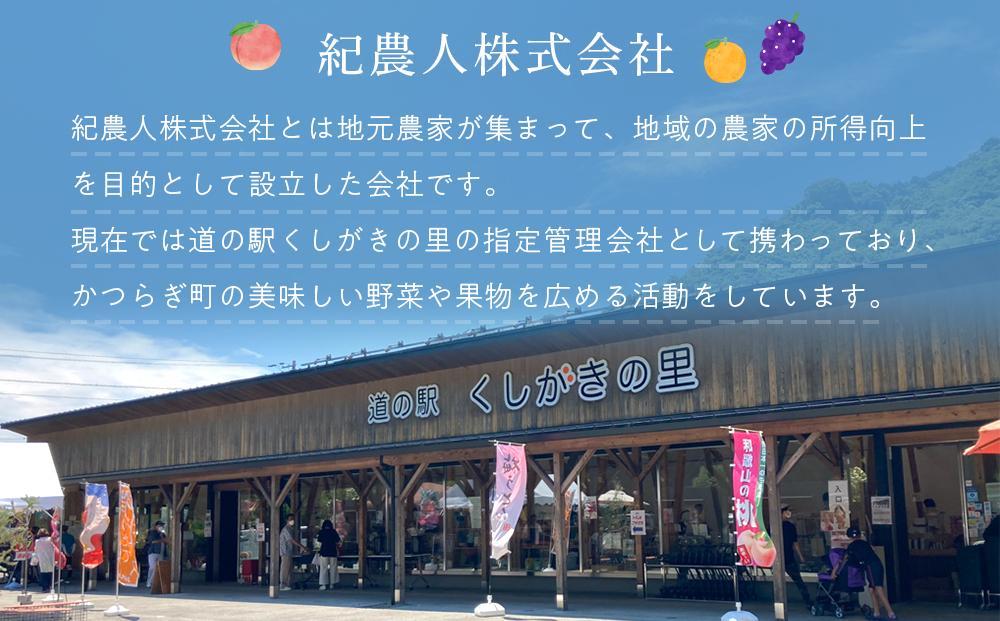 先行予約！希少な紅はっさく 12～18個入り（L～2Lサイズ）【2025年1月初旬頃から発送】【KG9】