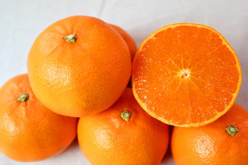 とろける食感！ジューシー柑橘せとか約3kg【2024年2月下旬頃〜2024年3月上旬頃に順次発送】