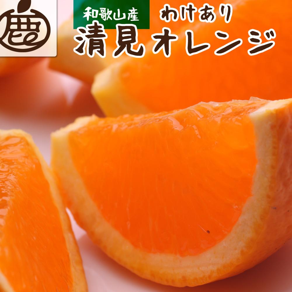 ＜2月より発送＞家庭用 清見オレンジ5kg+150g（傷み補償分）【光センサー食頃出荷】【わけあり・訳あり】