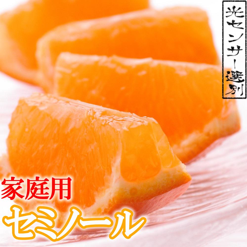 ＜4月より発送＞厳選 セミノールオレンジ5kg+150g（傷み補償分）【有田の春みかん】【有田産】【光センサー食べ頃出荷】