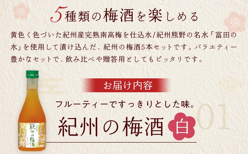 紀州の梅酒 飲み比べ5本セット（白・赤・蜂蜜・黒糖・樽）【MG69】