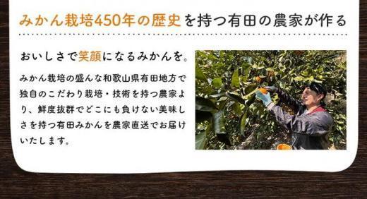 【先行予約】有田育ちのご家庭用 完熟有田みかん8kg【2024年11月上旬より発送】【訳あり】