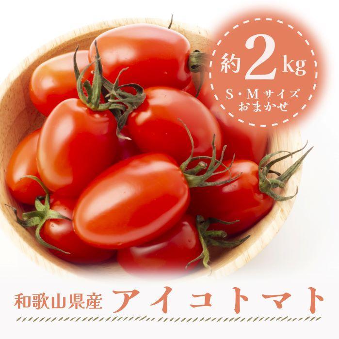 【3月出荷分】和歌山産ミニトマト「アイコトマト」約2kg（S・Mサイズおまかせ）【TM123】