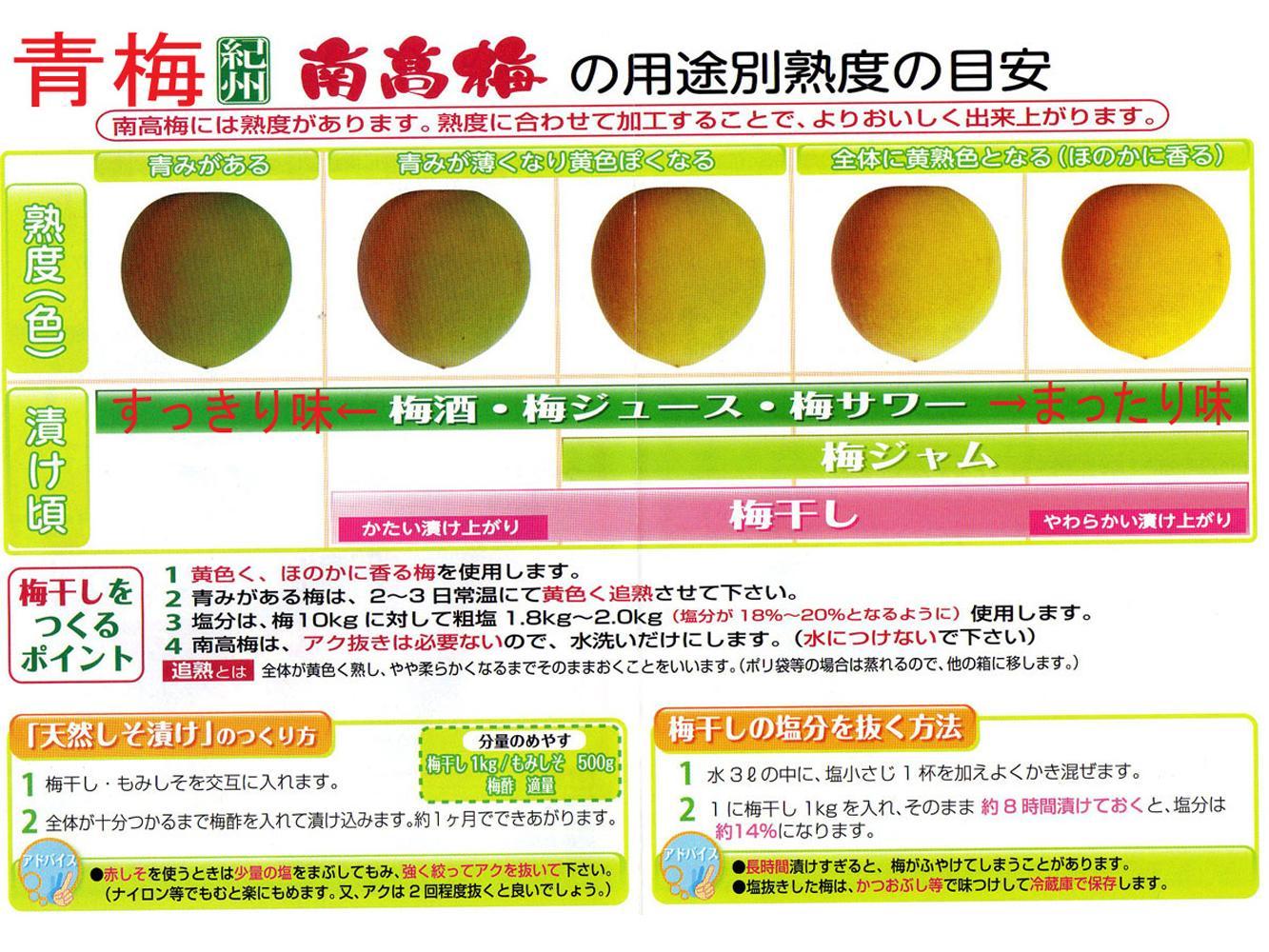 【梅干・梅酒用】（4Lまたは3L－2Kg）熟南高梅＜2025年6月上旬～7月7日発送予定＞フルーツ 果物 くだもの 食品 人気 おすすめ 送料無料【ART10】