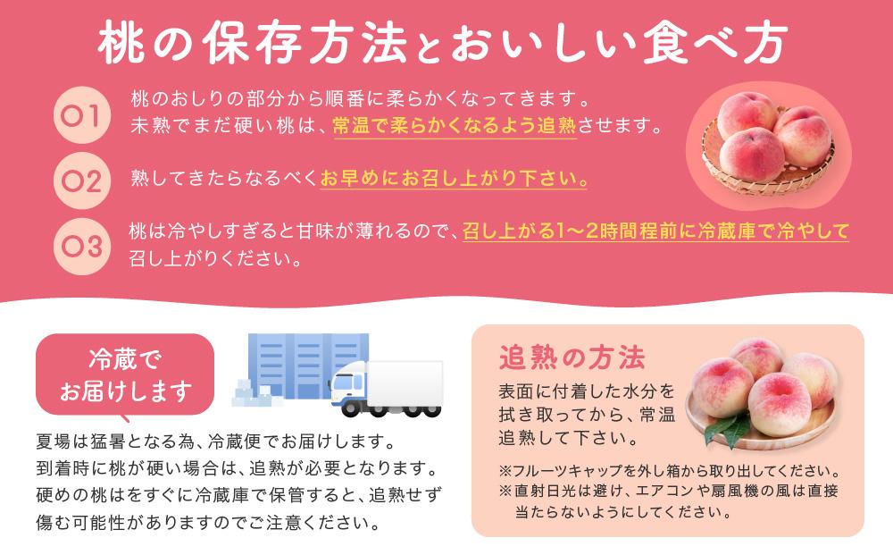 【産直・人気の特産品】和歌山の桃　約2kg・秀選品★2025年6月下旬～8月上旬頃順次発送★【TM167】