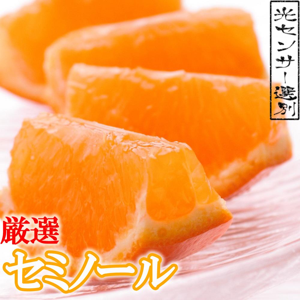 ＜4月より発送＞家庭用 セミノールオレンジ5kg+150g（傷み補償分）【有田の春みかん】【有田産】【光センサー食べ頃出荷】【わけあり・訳あり】