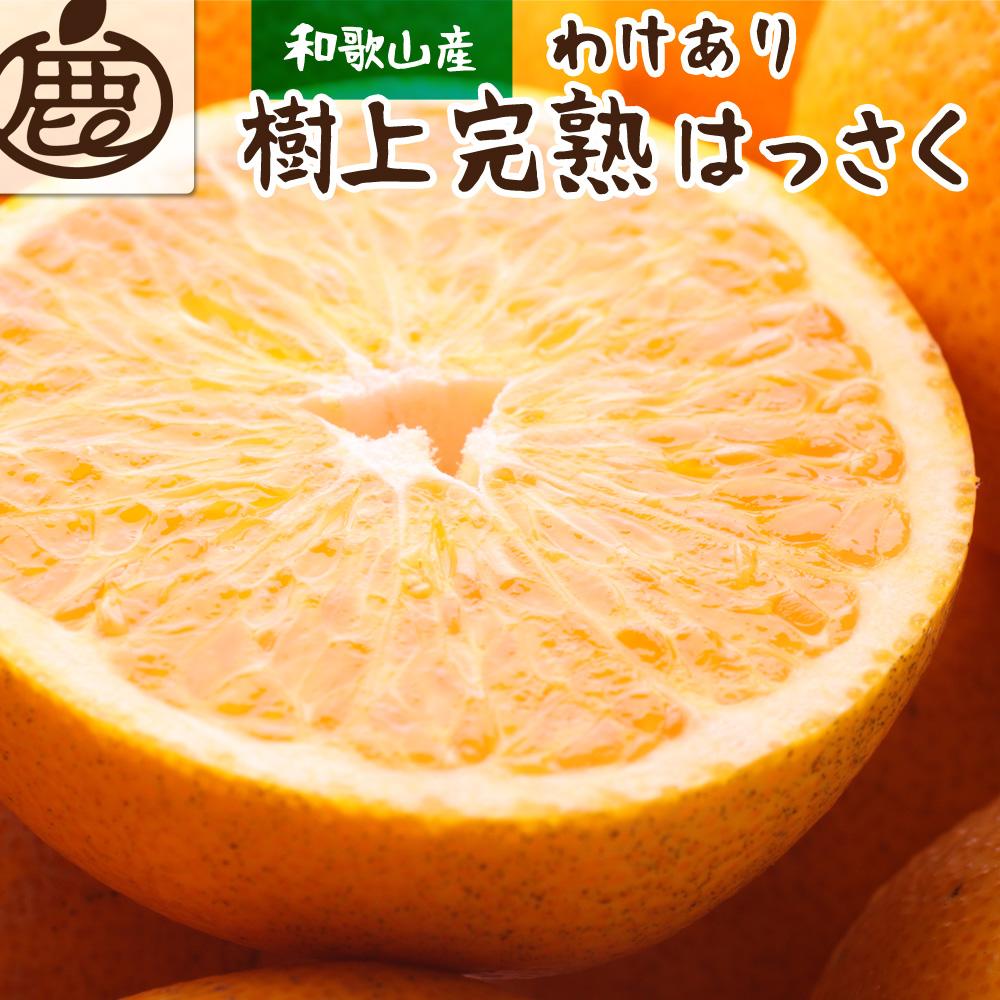 ＜4月より発送＞家庭用 樹上完熟はっさく5kg+150g（傷み補償分）【八朔】【わけあり・訳あり】【さつき・木成】