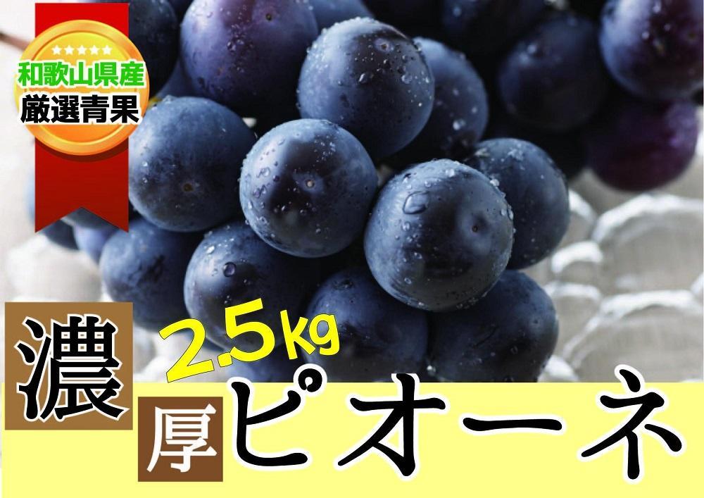 種なし ピオーネ 約2.5kg ぶどう　和歌山産  【甘さとみずみずしさが自慢】 ★8月下旬以降発送★