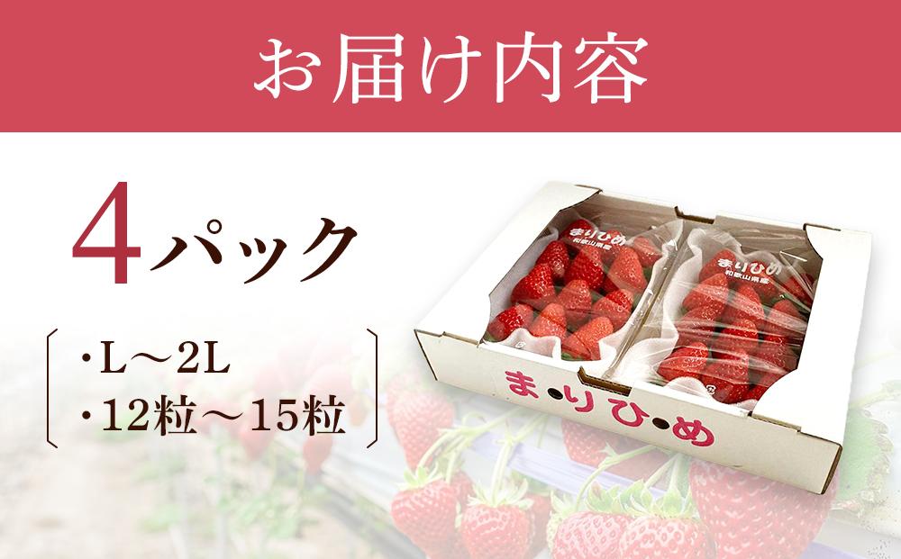 まりひめイチゴ L～２L 12粒～15粒×4パック【2025年1月初旬から発送】【先行販売】【KG8】