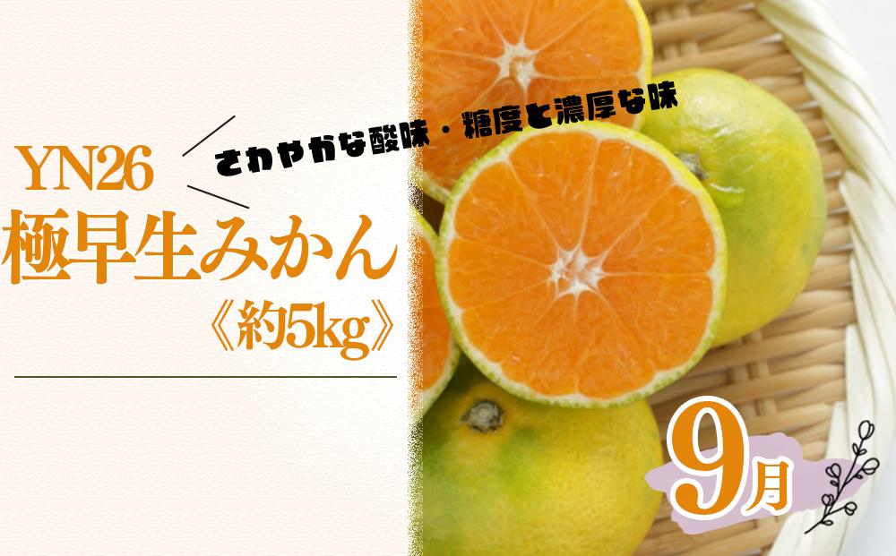 和歌山の人気の夏のフルーツをお届け！　定期便全3回　海南市　和歌山県　ふるさと納税　価格比較