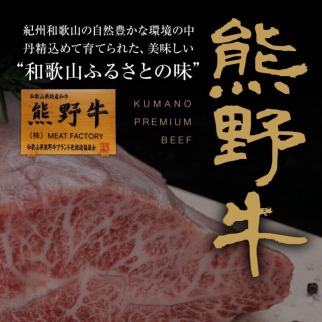 熊野牛 リブロース 焼肉用 500g