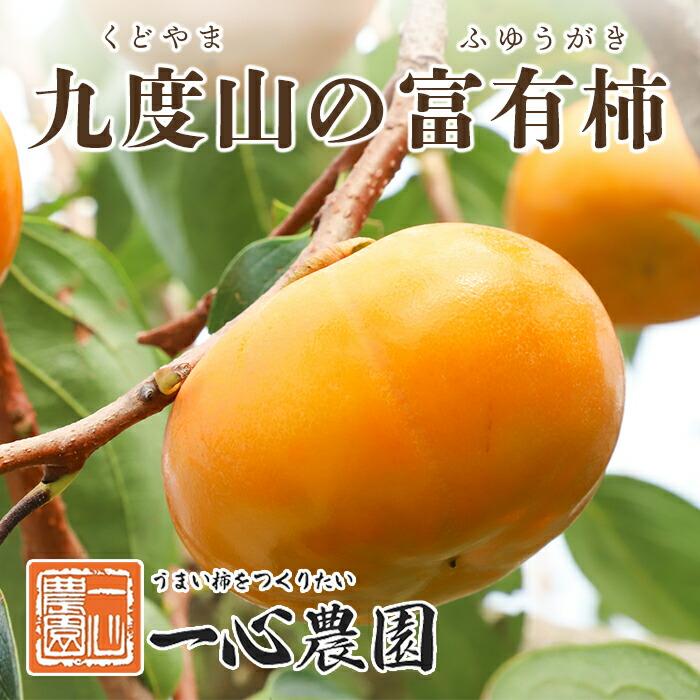 一心農園の富有柿 家庭用 約1.8kg