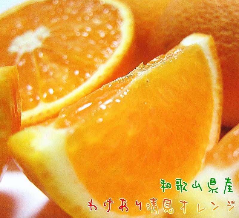 わけあり 清見オレンジ 7.5kg【農家直送】【先行予約・2025年2月下旬～3月下旬発送】【和歌山県産】【訳あり】