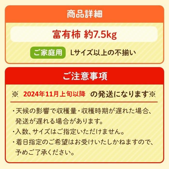 ◆先行予約◆和歌山県産 富有柿＜ご家庭用＞約7.5kg【2024年11月上旬以降発送】【九度山町産】【MG2】