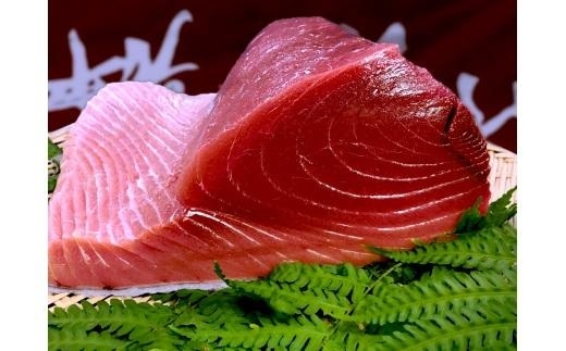 生まぐろの本場紀州勝浦から直送！　生メバチマグロ 約1kg