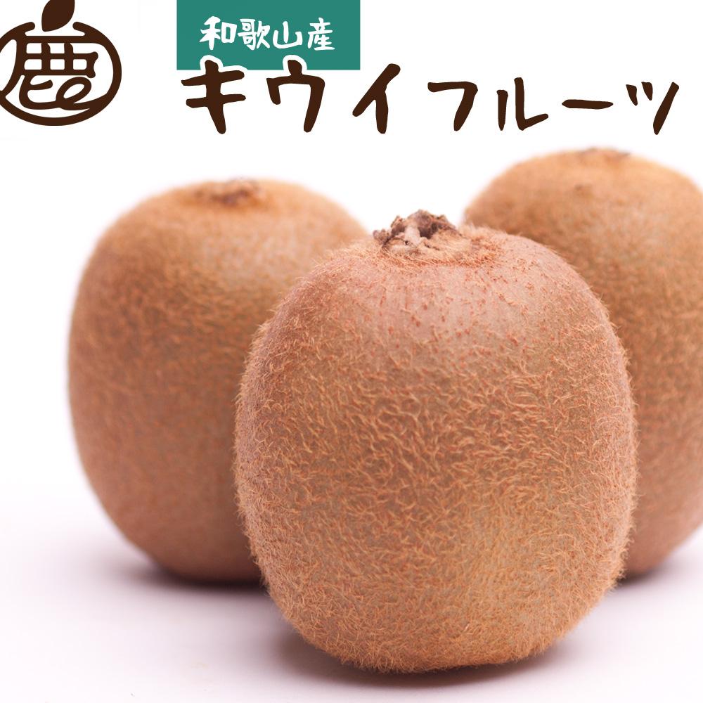 ＜11月より発送＞厳選 キウイフルーツ3kg+90g（傷み補償分）【扁平果】