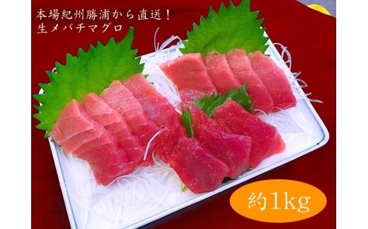 生まぐろの本場紀州勝浦から直送！　生メバチマグロ 約1kg