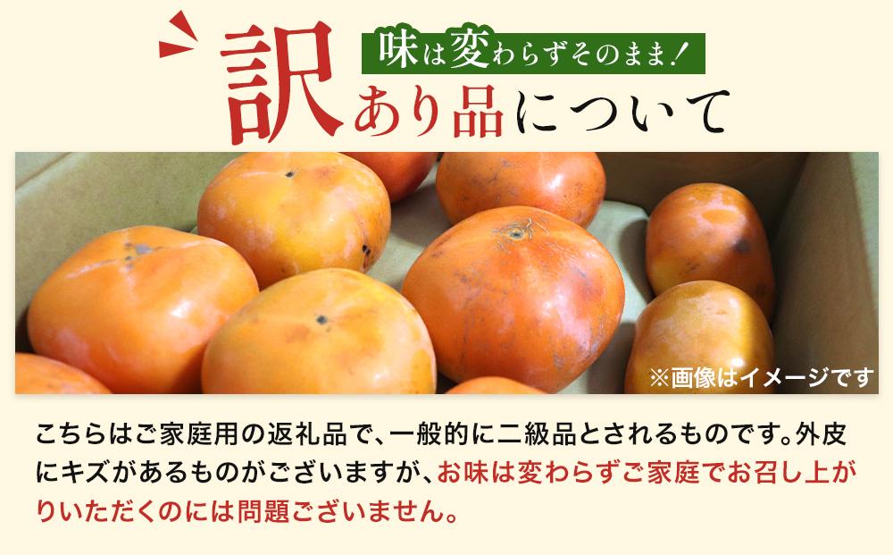 和歌山県産 訳あり 平核無柿 7.5kg L ~ 2L サイズ たねなし柿 種無し柿 ご家庭用 選果場 直送 2024年10月上旬～発送