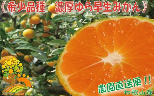 濃厚な味わい ゆら早生みかん約7kg 希少品種《有機質肥料100％》【2024年10月より順次発送】