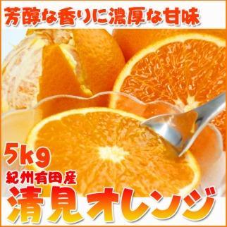 【2・4・6・8・10・12月 偶数月発送 全6回】和歌山産 旬のフルーツ お楽しみ 定期便 【魚鶴商店】【UT113】