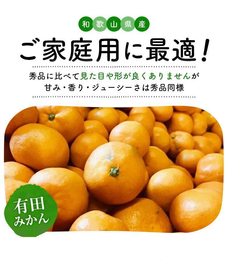 【先行予約】有田育ちのご家庭用 完熟有田みかん6kg【2024年11月上旬より発送】【訳あり】