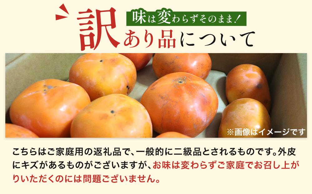 和歌山県産 訳あり 富有柿 7.5kg L ~ 2L サイズ ご家庭用 柿 選果場 直送 2024年11月中旬～発送