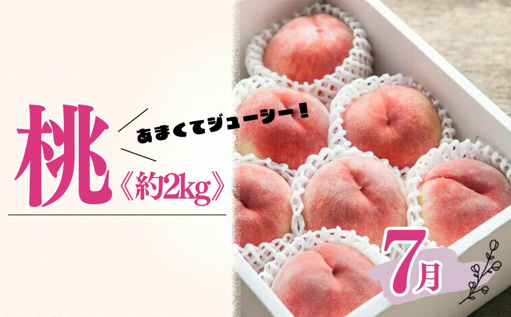 定期便全3回　和歌山の人気の夏のフルーツをお届け！