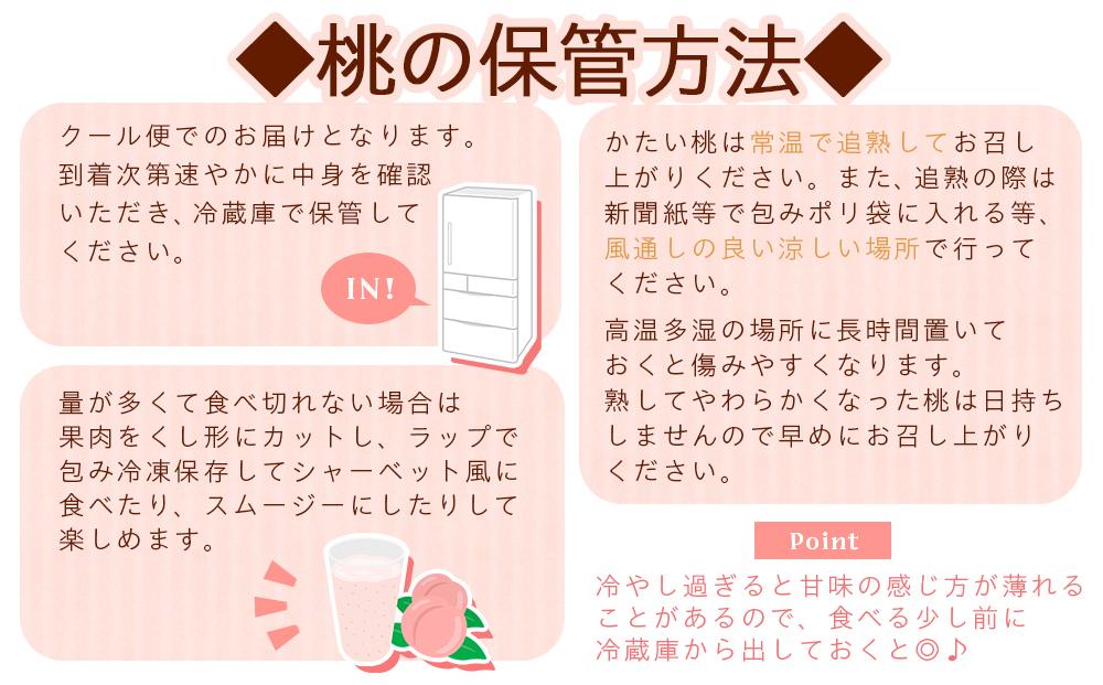 【大玉限定】和歌山県産 白鳳 《秀品》 3玉入り（3Lまたは4Lサイズ）【7月上旬より発送】【MG27】