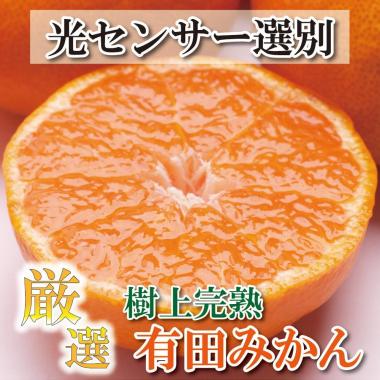 厳選 完熟有田みかん4kg+120g（傷み補償分）＜11月より発送＞