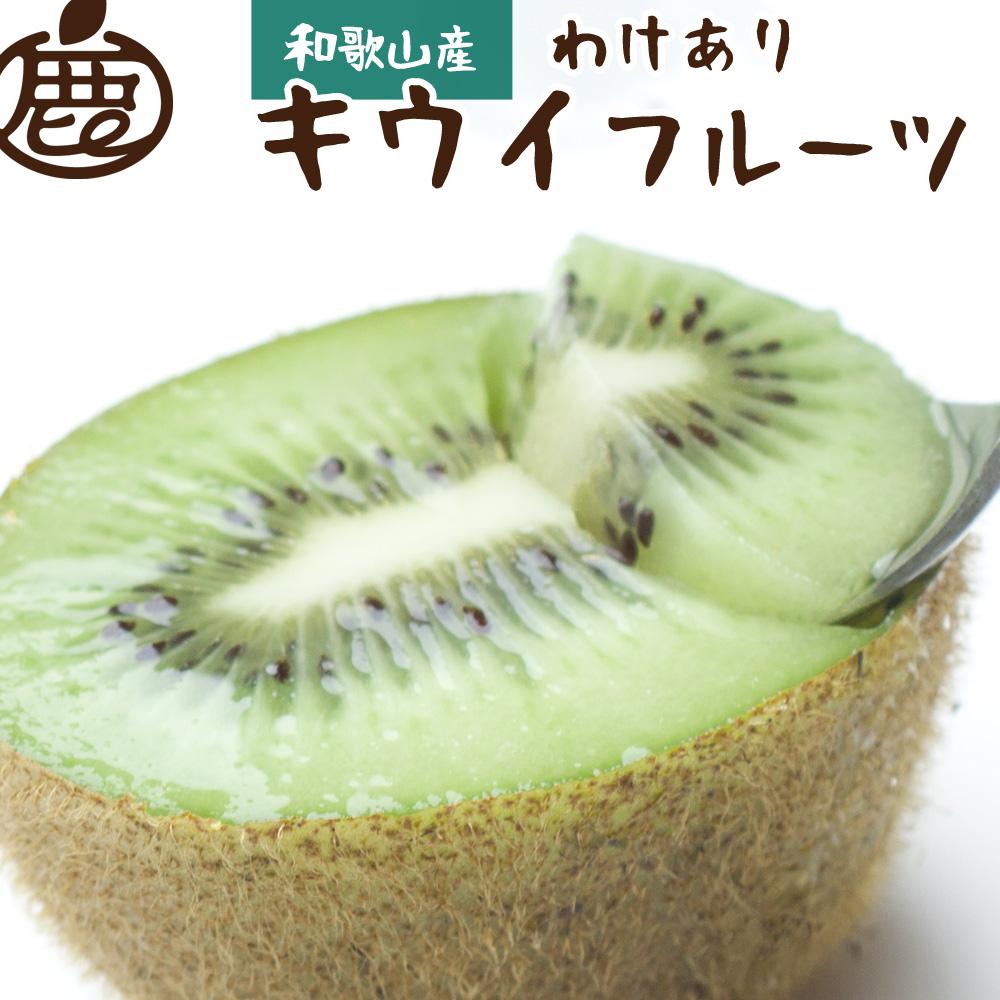 ＜11月より発送＞家庭用 キウイフルーツ3.5kg+105g（傷み補償分）【わけあり・訳あり・扁平果】