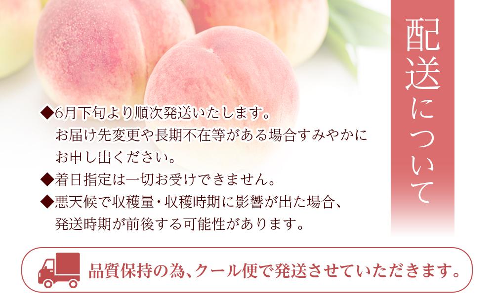 和歌山県産 旬 の 桃 5～6玉入り 秀品【2024年6月下旬より順次発送】【MG33】