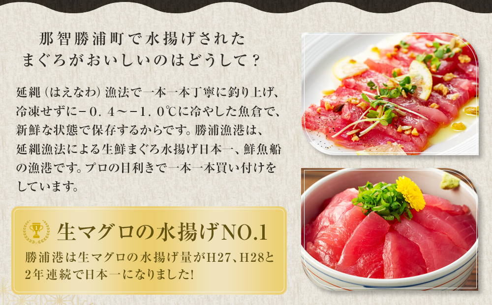 【定期便全5回】生まぐろの本場紀州勝浦から直送！　生メバチマグロ 約600g（1カ月に1回お届け）（全5ヵ月）