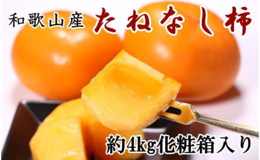 【秋の味覚】和歌山産たねなし柿2L～4Lサイズ約4kg（化粧箱入り）★2025年10月頃より順次発送【TM192】