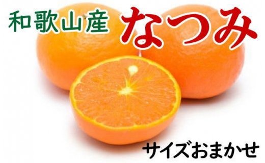 【希少柑橘】和歌山県産なつみ約5kg（S～2Lサイズおまかせ）★2025年4月頃より順次発送【TM147】