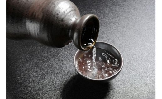 「日本城」吟醸純米酒と特別本醸造1.8L×2種セット