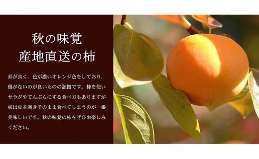 和歌山の種なし柿　約7.5kg（秀品：サイズ・品種おまかせ）／紀伊国屋文左衛門本舗