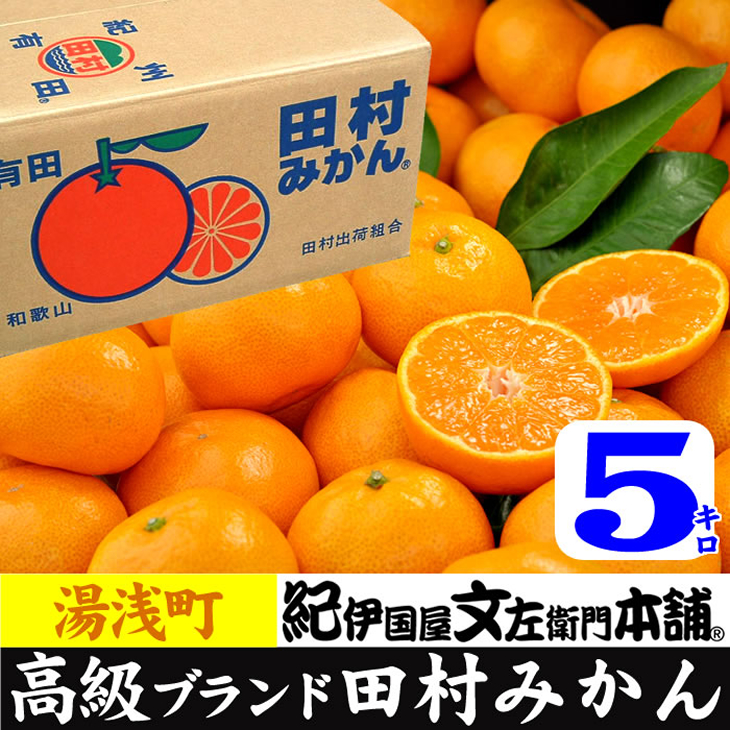 V7053_【2024年 先行予約】田村みかん 5kg 青秀 【サイズ指定なし】