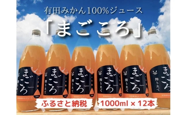 ZE6184_【まごころ】有田みかんジュース100％ 1000ml×12本