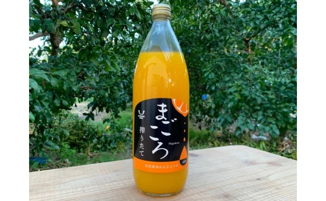 ZE6184_【まごころ】有田みかんジュース100％ 1000ml×12本