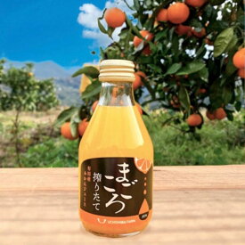 ZE6462_「まごころ」有田みかん 100％ ジュース 180ml 6本 セット